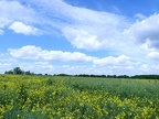 28Eure&amp;Loir20190527ChartresEure&amp;Loir (2)
