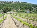 Côtes-du-Rhône Vignobles 44