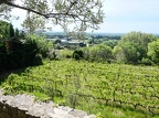 Côtes-du-Rhône Vignobles 46