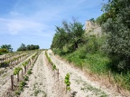 Côtes-du-Rhône Vignobles 48
