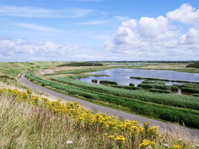 Toujours sur le littoral de la mer du Nord dans le Zeeland mais sur la digue offrant des points de vue contrastés entre les polders où se regroupent les oiseaux en grand nombre... CdCPays-Bas-17.jpg