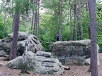 77Seine&amp;Marne20190522Fontainebleau&amp;Barbizon (2)