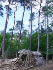 77Seine&amp;Marne20190522Fontainebleau&amp;Barbizon (4)