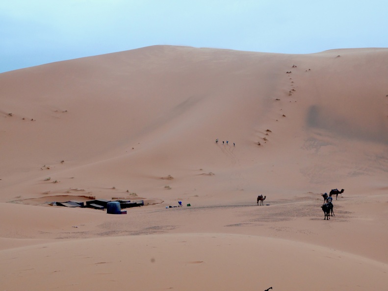 56) Merzouga, à la porte du désert, avec sa dune de quelques 600 m. d'élévation; 1h30 de marche dans le sable aux côtés du chamelier et d'un groupe de touristes hongrois, nuit sous tente berbère après une délicieuse tajine préparée par notre guide et... xJuin04bisMerzuga.JPG