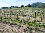 Côtes-du-Rhône Vignobles 56