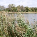 En Dombes-06