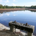 En Dombes-08