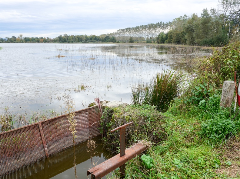 En Dombes-109.jpg
