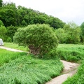 024 Wallendorf 01