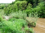 024 Wallendorf 02