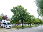 059 Oostende 01