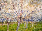 AdamMuséeVanGogh2024-18