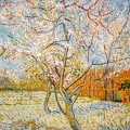 AdamMuséeVanGogh2024-07