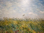 AdamMuséeVanGogh2024-15