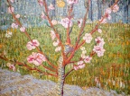 AdamMuséeVanGogh2024-19
