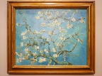 AdamMuséeVanGogh2024-17