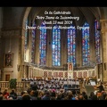 Sounds Of Music In BENELUX (12:32)
