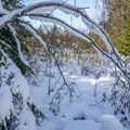 Jura-Neige-32