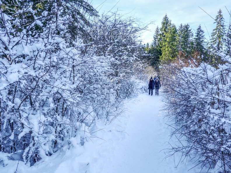 Jura-Neige-34.jpg
