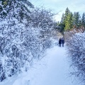 Jura-Neige-34