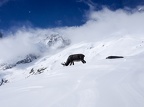 Punta-Helbronner-06
