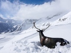 Punta-Helbronner-07