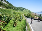3 lacs à vélo-10 (730 visits) 3 lacs à vélo-10