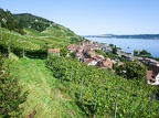 3 lacs à vélo-09 (733 visits) Au dessus de Twann, le vignoble s'accroche jusqu'à la lisière de la forêt 3 lacs à vélo-09