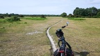 D17-New Forest National Park (2)