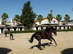 2017 Cap Sud 07 (139 visits) Jerez-de-la-Frontera, Ecole andalouse d'équitation et de dressage 2017 Cap Sud 07
