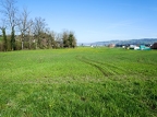 012-013 Sempach, Lucerne, Suisse 03