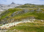 Pyrénées-45