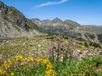Pyrénées-48
